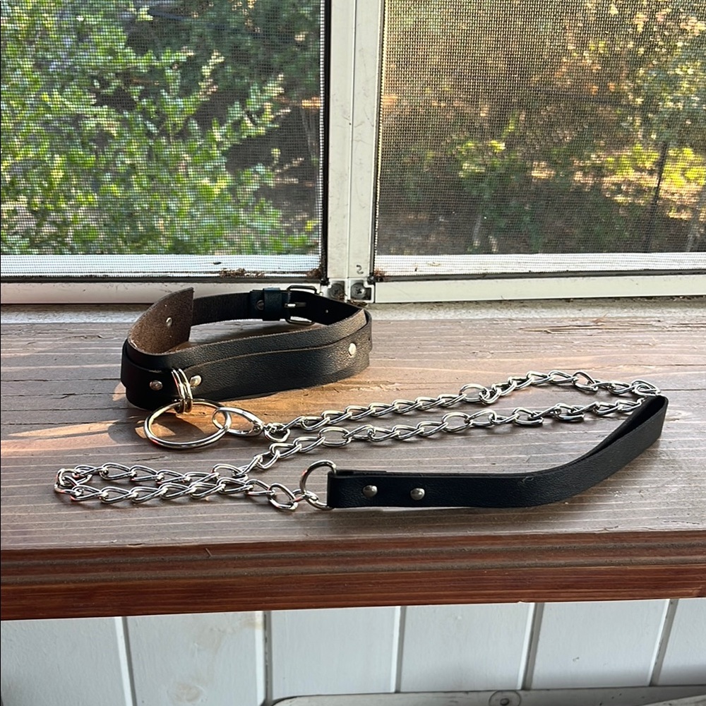 Black Leather and Silver Chain Collar and leash